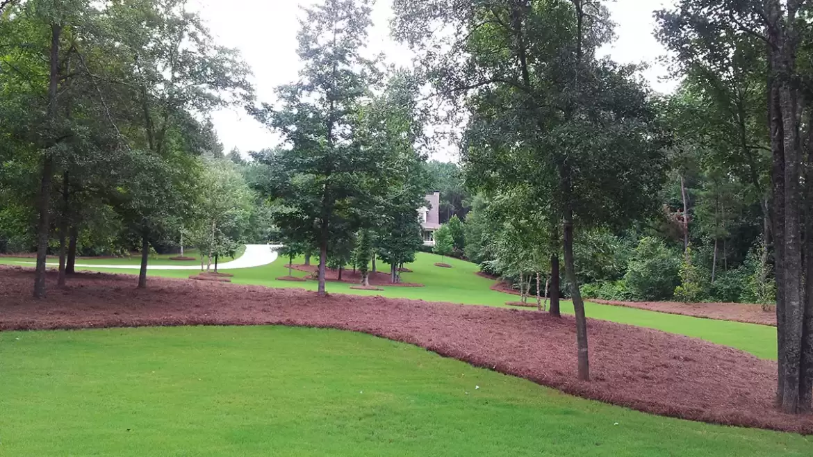 Commercial Pine Straw Installation