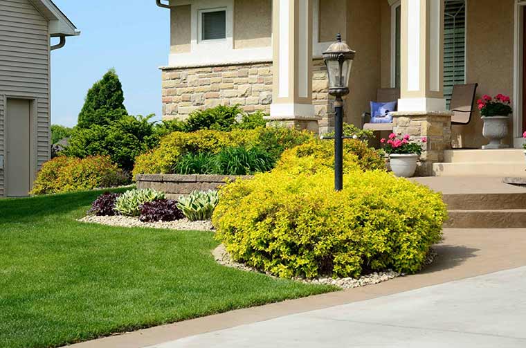 Professional Landscape Design & Installation in Guilford, Rockingham and Surrounding Counties