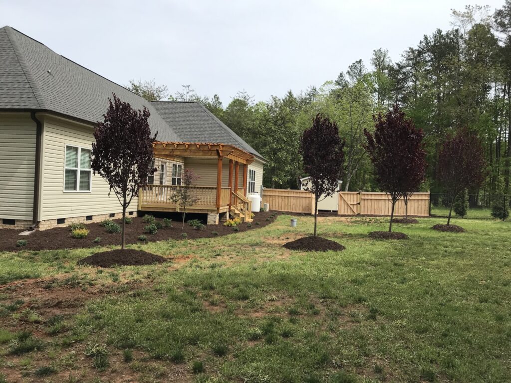 Fall Aeration and Overseeding for Fescue Lawns in the Triad 3 New lawn with freshly planted ornamental trees in mulch rings