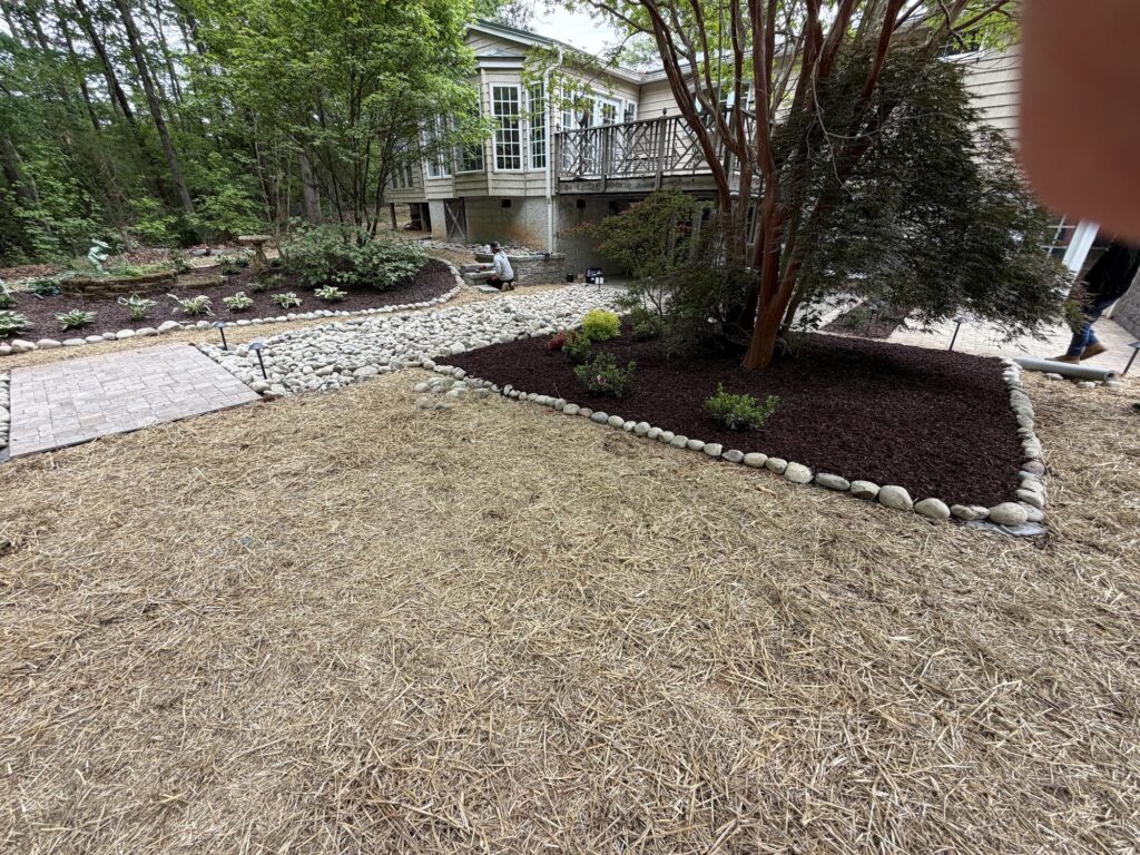 Pine Straw vs. Mulch: Which Is Best for Triad Landscape Beds? 2 Fresh pine straw ground cover with mulched planting beds and river rock edging