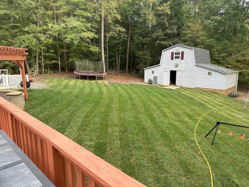 Fall Aeration and Overseeding for Fescue Lawns in the Triad 2 Thick, healthy striped backyard lawn beside a barn