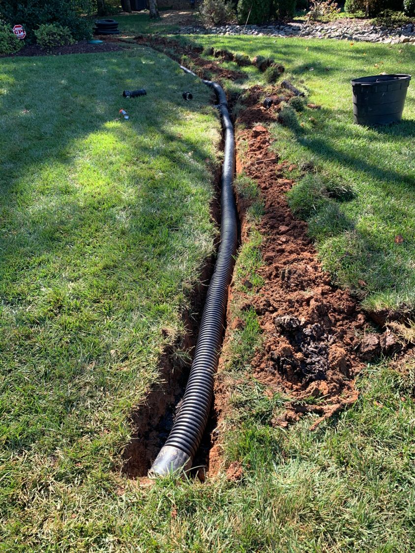 Underground drain line being installed through a lawn