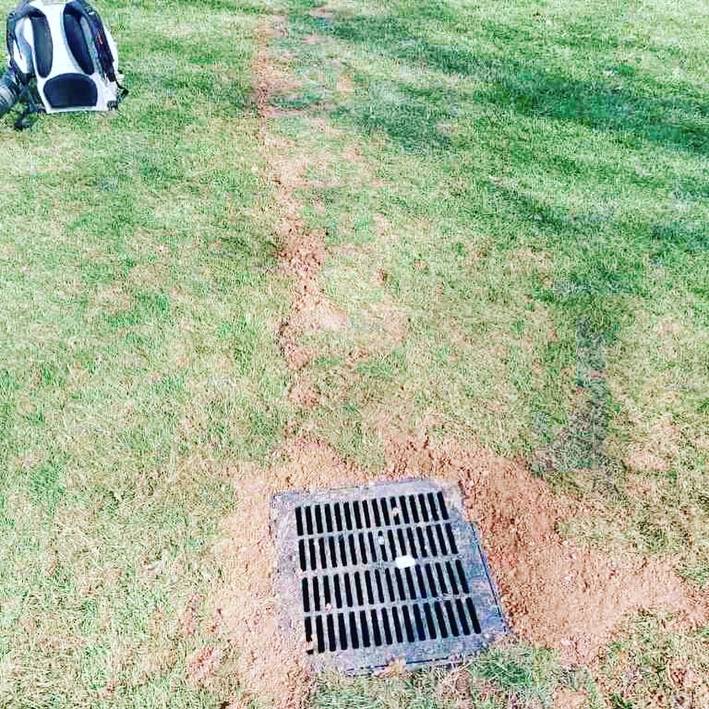 Newly installed catch basin drain grate in a lawn with backfilled drain line